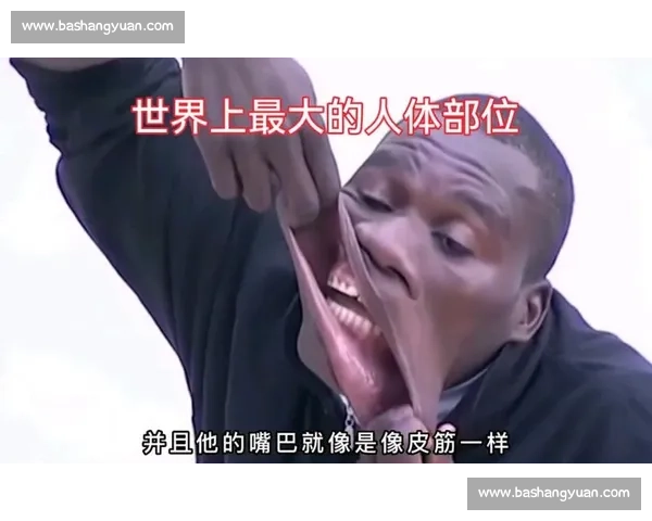 刷新极限纪录再创历史新高的震撼时刻全景解析