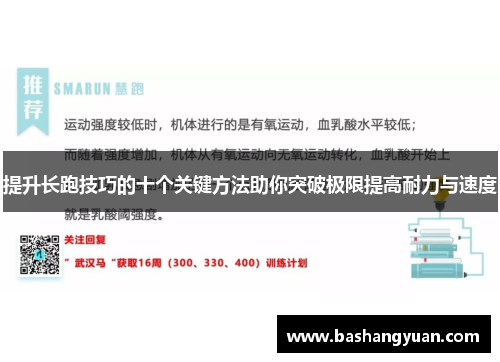 提升长跑技巧的十个关键方法助你突破极限提高耐力与速度