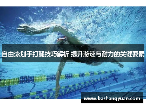 自由泳划手打腿技巧解析 提升游速与耐力的关键要素