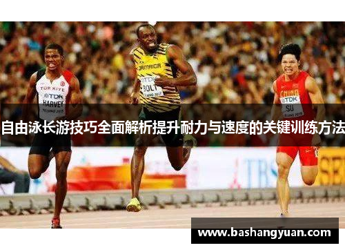 自由泳长游技巧全面解析提升耐力与速度的关键训练方法
