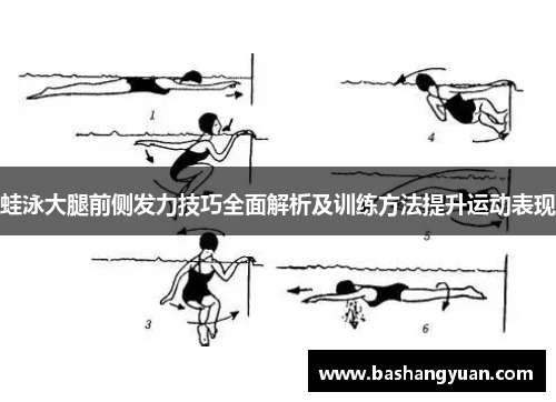 蛙泳大腿前侧发力技巧全面解析及训练方法提升运动表现