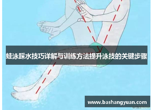 蛙泳踩水技巧详解与训练方法提升泳技的关键步骤